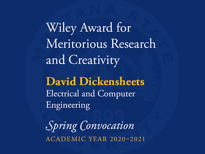 Image of Award for David Dickensheets