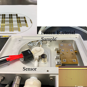Sensors fabricated on wafer-level in the MMF