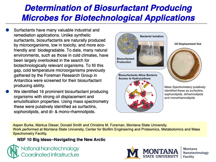 Image of slide of Burke's work