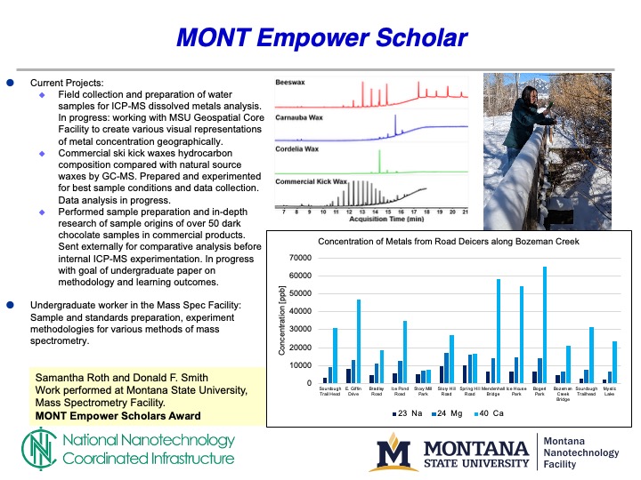 Image of a slide of Roth's work