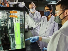 Photo of researchers examining a tube of biomass in the lab