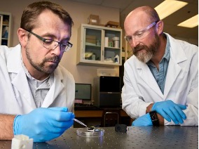 Photo of two researchers looking at a small senor in the lab