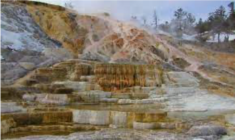 Terraces at Mammoth Hot Springs
