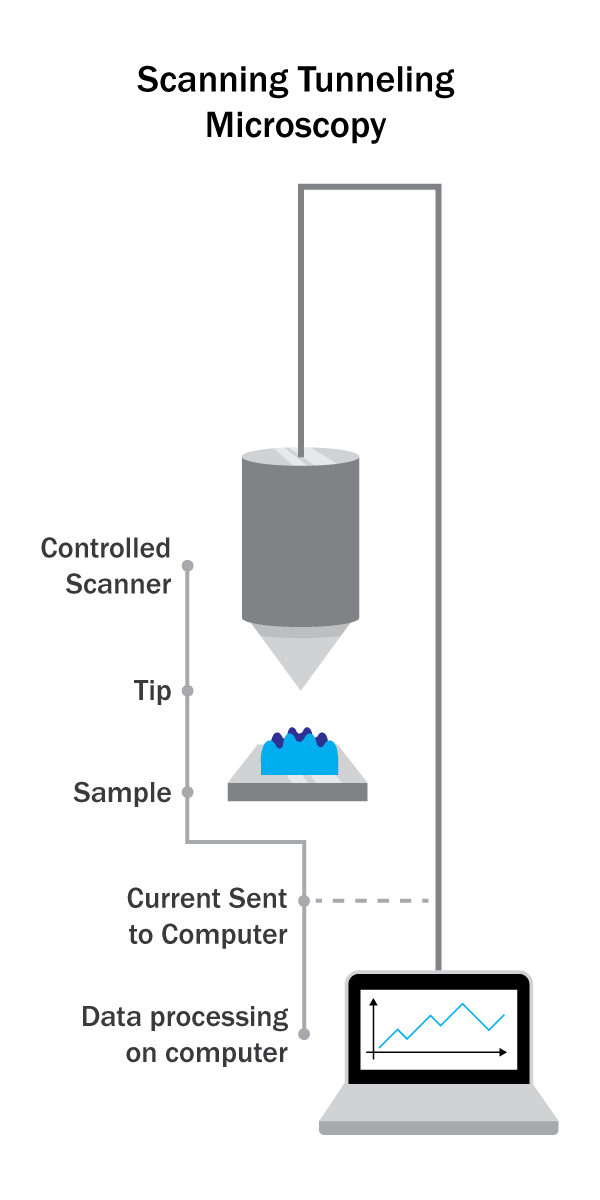 Illustration of Scanning Tunneling Microscope