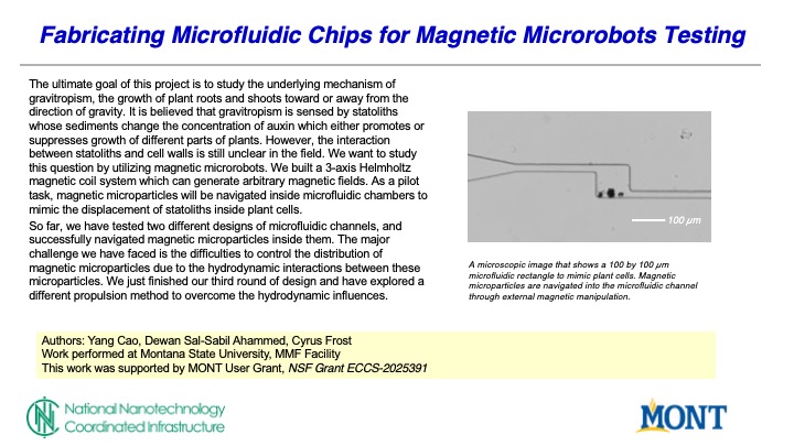 A slide detailing Cao's work