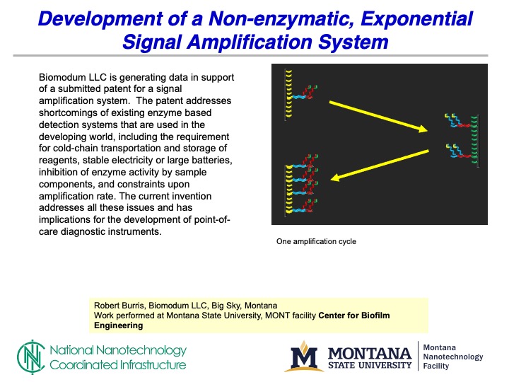 A slide describing Biomodums work