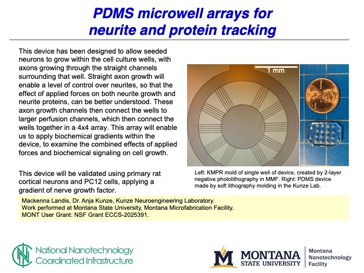 A slide image detailing Landis's work